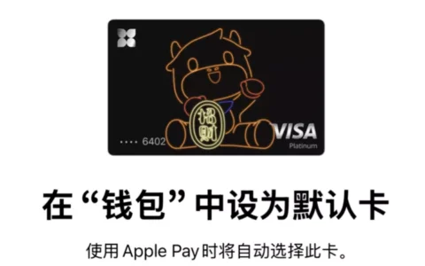 天星银行visa白金卡开放申请了！